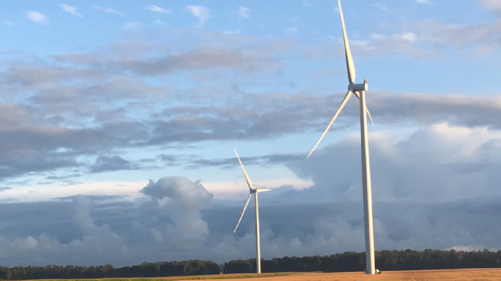 windmills