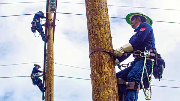 LUMA Lineman