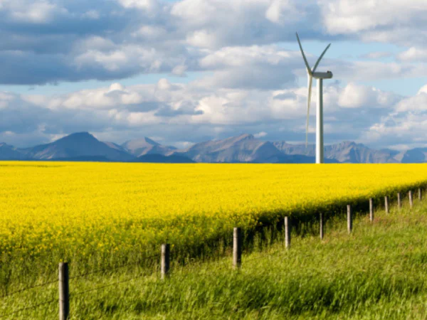 Wind Turbine