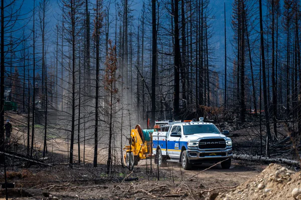 Jasper wildfire