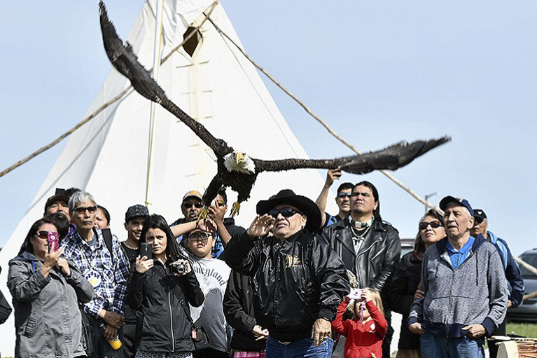 Eagle Release