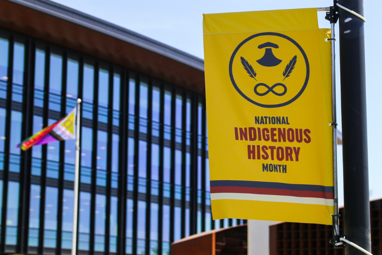 National Indigenous History Month Flag