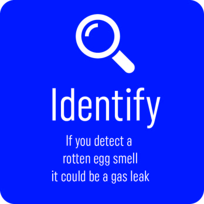 Identify - gas leak