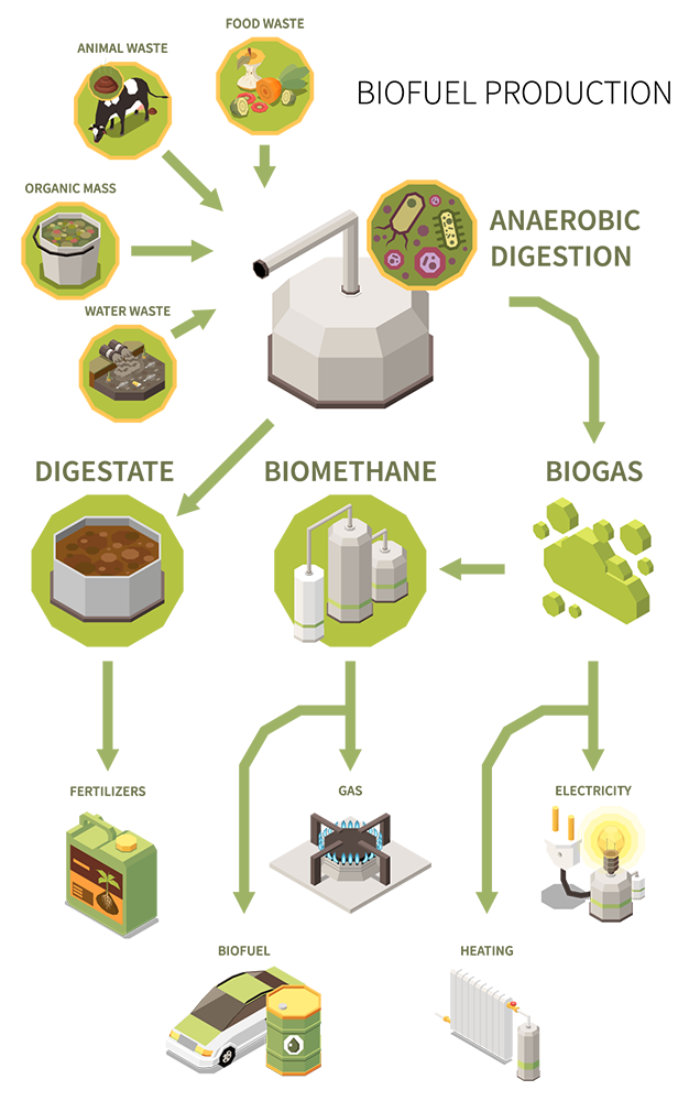 BioGas Production