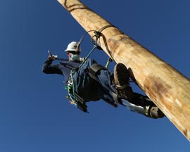 LUMA linemen climbing