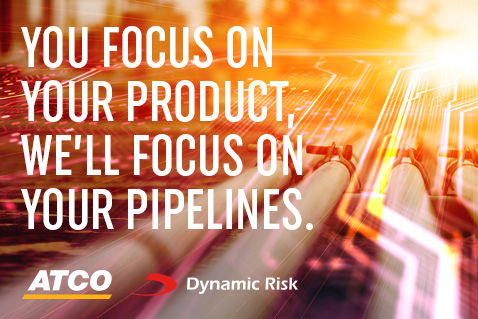 Dynamic Risk Cover