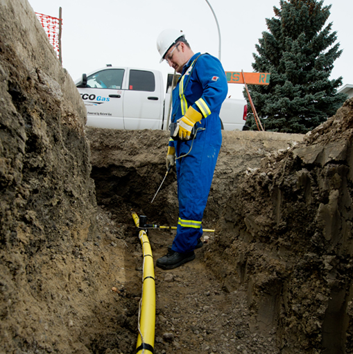 Secondary Pipelines