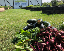 August bounty ready to donate to the Veterans Association Food Bank!