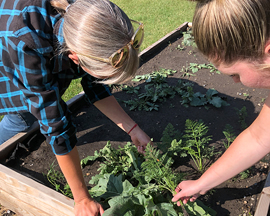 Help from Calgary Horticultural Society - August 2021
