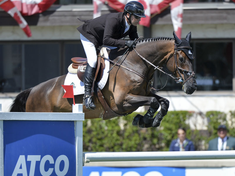 ATCO Spruce Meadows Mobile Experience