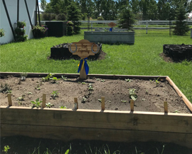 Tse Family Garden - May 2021