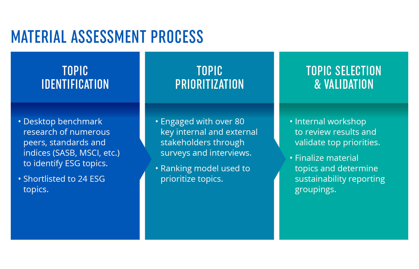Materiality Assessment Process